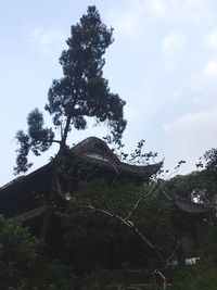 Low angle view of trees against cloudy sky