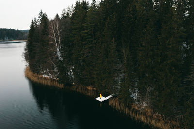 A man in a bright yellow jacket on a gray winter day. lake, forest, feast, winter.