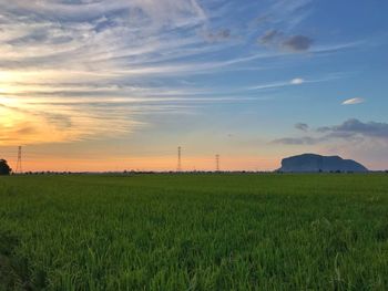 Scenic view of field against sky during sunset