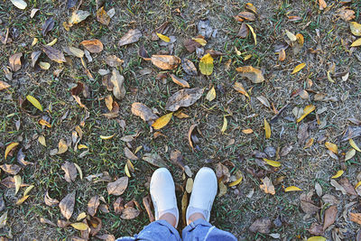 Low section of person standing on field during autumn