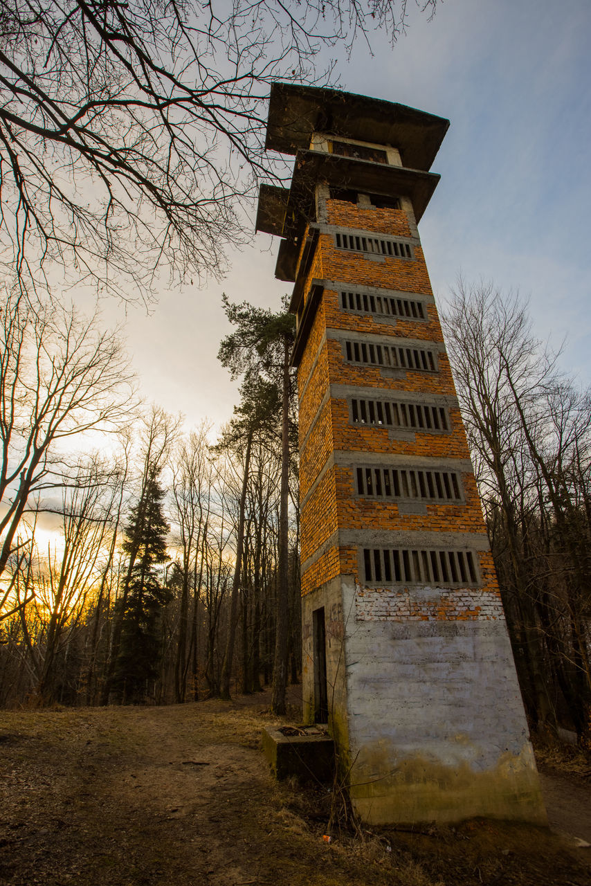 LOW ANGLE VIEW OF TOWER AMIDST TREES ON FIELD