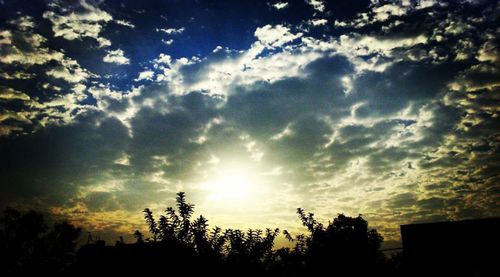 Low angle view of silhouette trees against sky at sunset