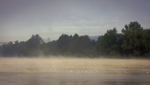 Scenic view of lake in forest against sky