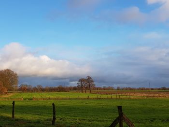 Scenic view of field against sky