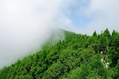 Scenic view of mountain against cloudy sky