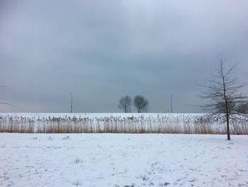 Scenic view of snow covered field against sky