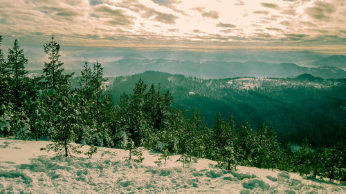 Scenic view of tree mountains against sky during winter