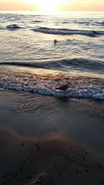 Scenic view of sea at sunset