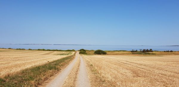 Road amidst field against clear sky