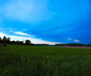 Scenic view of grassy field against cloudy sky