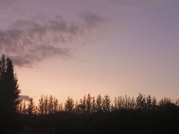 Silhouette trees on field against sky at sunset