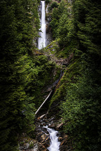 Serene long waterfall in lush green forest