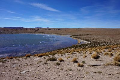 Scenic view of landscape against blue sky