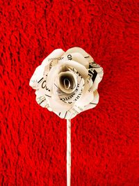 Close-up of text on white wall