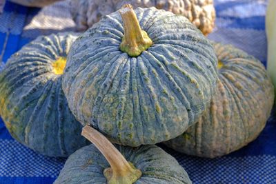 Close-up of pumpkins in market