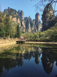 Reflection of trees in lake