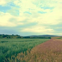 Scenic view of field against cloudy sky