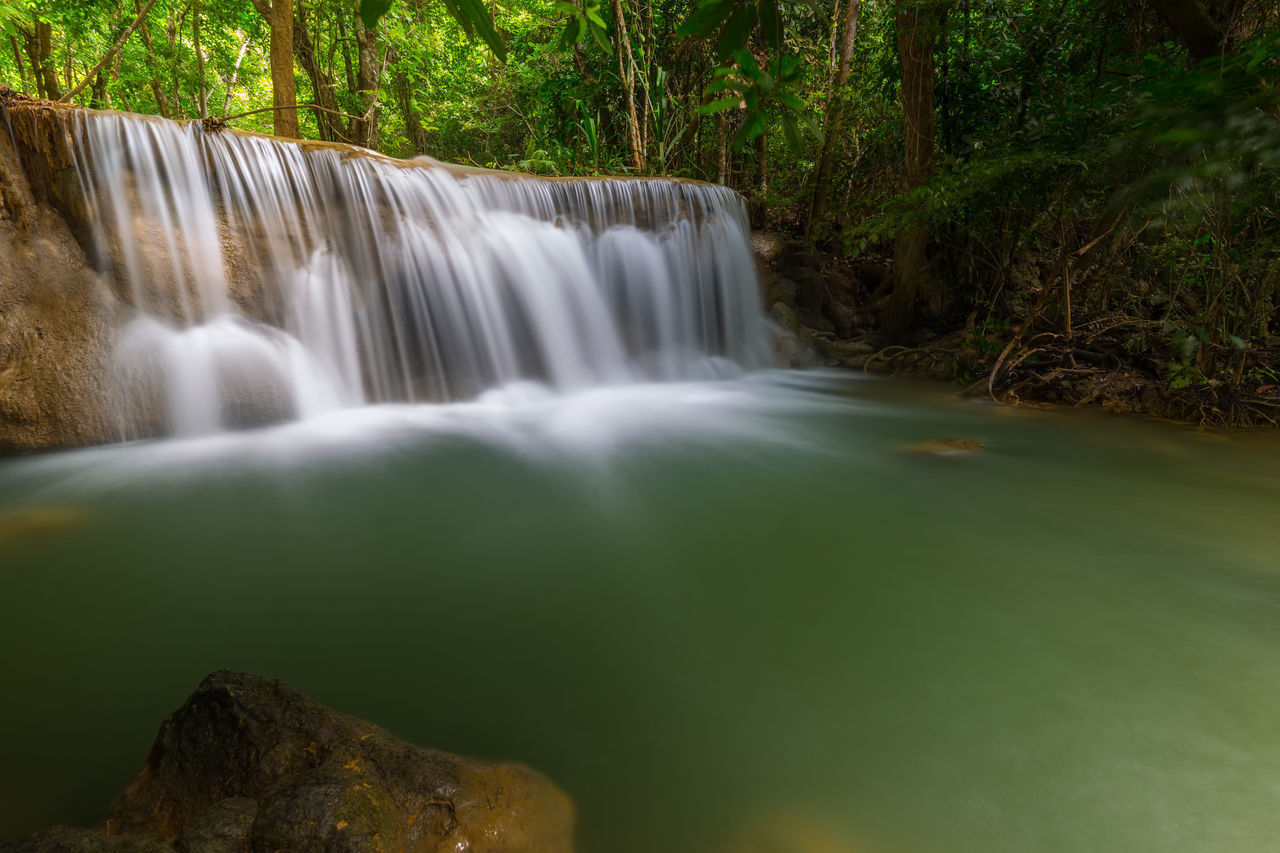 VIEW OF WATERFALL IN FOREST