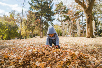 Cute boy playing on leaves covered land in park during autumn