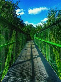 Road passing through forest