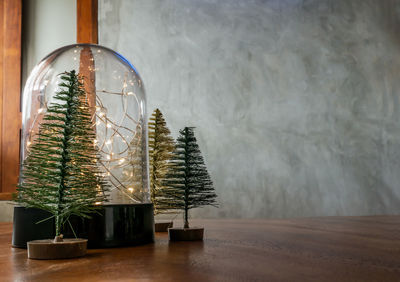 Potted plant on table at home