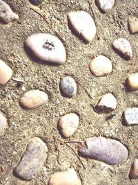 Full frame shot of pebbles