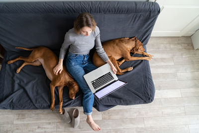 Woman sitting at couch with twovizsla dog, stroking, remote working on laptop. love pets. top view.