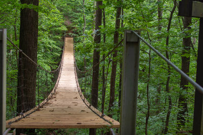 Wooden footbridge amidst trees in forest