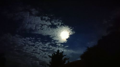 Low angle view of silhouette trees against sky at night