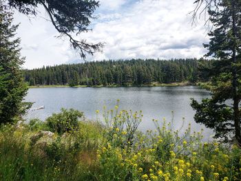 Scenic view of lake against sky