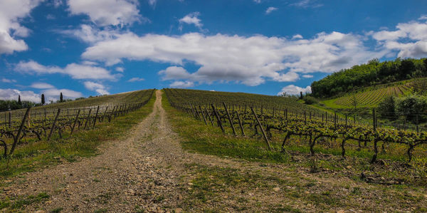 Road amidst field against sky