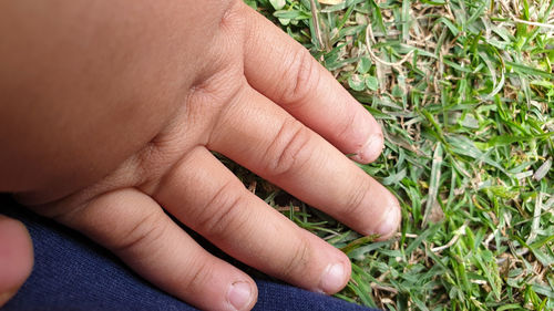 Close-up of person hand on grass