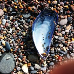 Close-up of pebbles