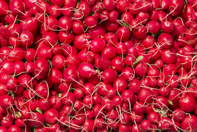 Full frame shot of red fruits