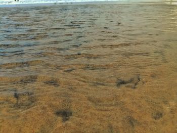 High angle view of beach