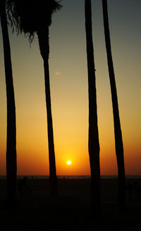 Silhouette trees against sky during sunset