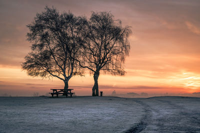 Silhouette bare tree against sky during sunset