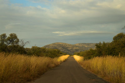 Road passing through field