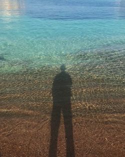 High angle view of man standing on beach