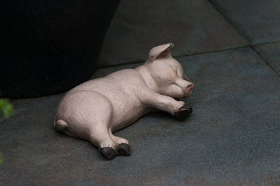 High angle view of cat sleeping on floor