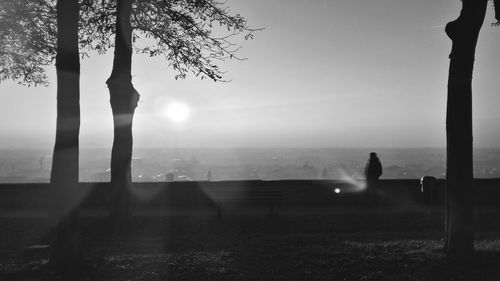 Silhouette woman sitting on tree by sea against sky during sunset