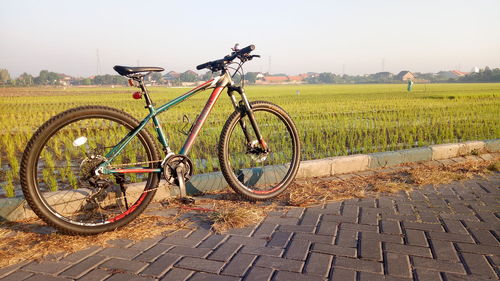 Bicycle parked on field