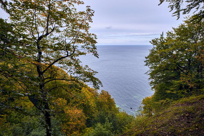 Scenic view of sea against sky during autumn