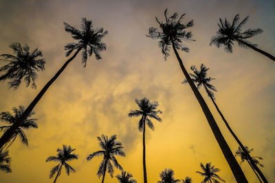 Low angle view of silhouette palm trees against sky during sunset