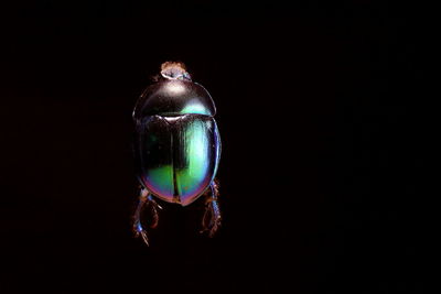 Close-up of illuminated lighting equipment against black background