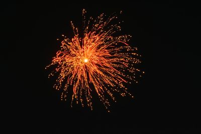 Low angle view of firework display at night