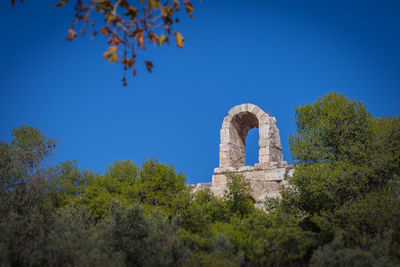 Trees with parthenon in the background, athens acropolis, greece