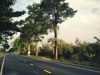 Close-up of road by trees against sky