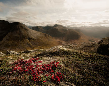 A mountain range from stordal valley on the west coast of norway