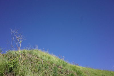 Scenic view of green landscape against blue sky